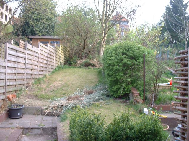 De struiken beginnen een invasie van mijn tuin.